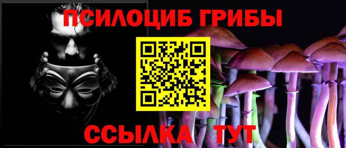 Псилоцибиновые грибы GOLDEN TEACHER Краснознаменск